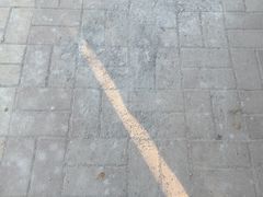 -美达尔烧烤(银川东路店)