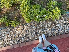 -春花秋色城市公园