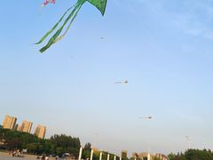 -丁香湖公园