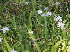 -仙海旅游度假区