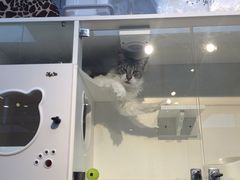 -萌兽医馆·眼科·异宠专科(三里屯店)