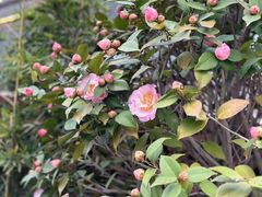 -观宴·品质赣菜(高新大道店)