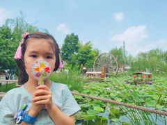 -茯茶镇