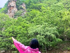-大连天门山国家森林公园