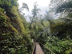 -七仙岭温泉国家森林公园
