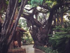 iphone_upload_pic-龙达温泉生态城