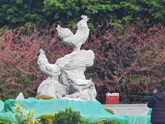 -金鸡山公园