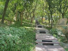 -深圳国际园林花卉博览园