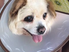 -畜牧兽医站(共江路店)