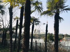 -黄兴公园
