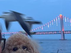 -星海广场