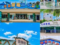 -海合安成都极地海洋公园