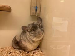 -龙猫仔乐园(惠福东路店)