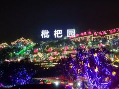 -枇杷园食为鲜火锅(南山店)