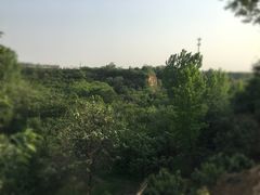-樱桃沟景区
