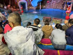-烟台海昌鲸鲨海洋公园