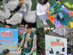 -灵玲国际马戏城