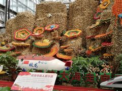 -兰陵国家农业公园