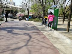 景点-方庄体育公园