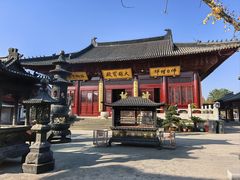 -贡湖湾湿地公园