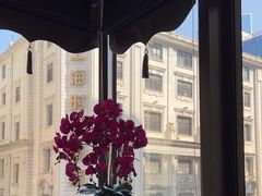 -新雅粤菜馆(南京东路店)