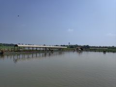 -荷花大观园