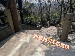 -上海佘山国家森林公园西佘山园