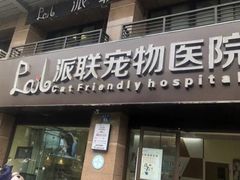 -派联宠物医院·24h·CT·异宠