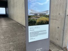 -涉地可支