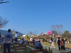 -苏州太湖西山岛开心农场