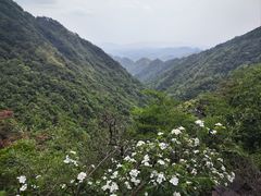 -东天目山风景区