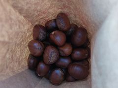 -秋栗香(地安门店)