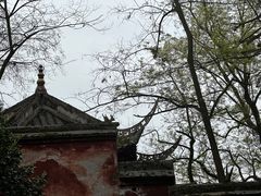 -都江堰景区