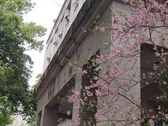 -西南政法大学(沙坪坝校区)