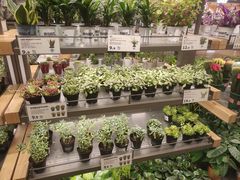 -鹿岛生活(熙地港店)