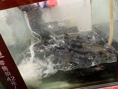 -荷香婆婆鱼锅(七一路店)
