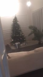 -星宝贝儿童摄影