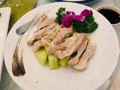 白切肚尖-金八仙酒店