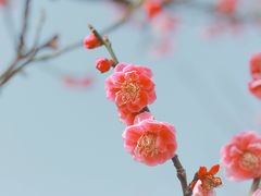 -贡湖湾湿地公园
