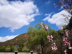 -仙居谷风景区