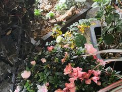 -手拉手美食(清河路店)
