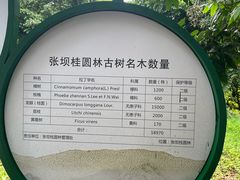 -张坝桂圆林公园