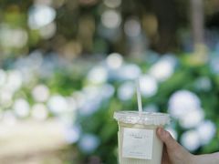 -风吟仟茶(友阿店)