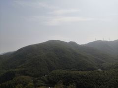 -宁波浙东大竹海景区