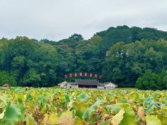 -古田会议纪念馆