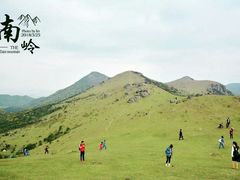 -大姆山草场