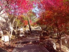 -崂山巨峰游览区