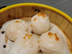 -采蝶轩
