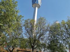 -匠岳·王宝器麻椒鱼(会展中心店)