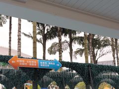 -海合安成都极地海洋公园